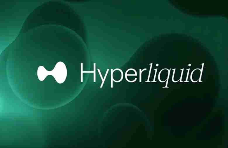 永续 DEX 里的头号玩家,HYPE 未来市场走势如何让?一文分析