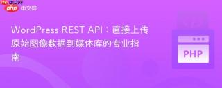 WordPress REST API：直接上传原始图像数据到媒体库的专业指南
