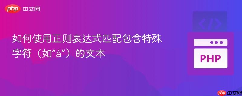 如何使用正则表达式匹配包含特殊字符（如“á”）的文本