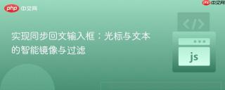 实现同步回文输入框:光标与文本的智能镜像与过滤