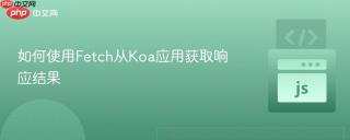 如何使用Fetch从Koa应用获取响应结果