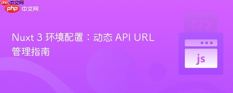 Nuxt 3 环境配置:动态 API URL 管理指南