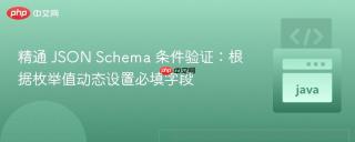 精通 JSON Schema 条件验证：根据枚举值动态设置必填字段
