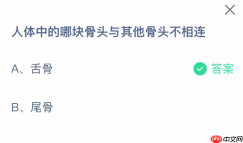 人体中的哪块骨头与其他骨头不相连