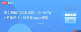 深入理解CSS盒模型：统一HTML元素尺寸，特别是input标签