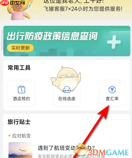 《飞猪旅行》查看汇率方法