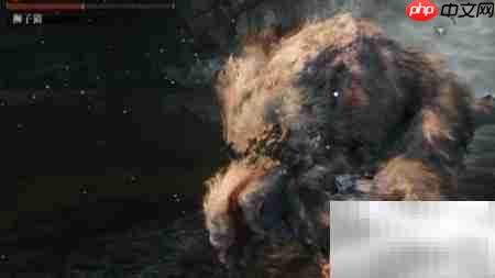 只狼仙峰寺路线指南