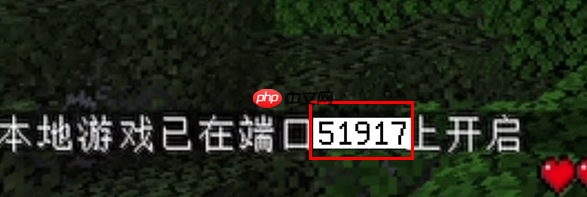 《PCL2启动器》联机教程一览2025