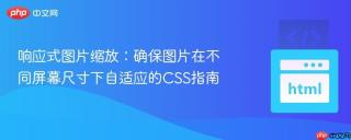 响应式图片缩放：确保图片在不同屏幕尺寸下自适应的CSS指南