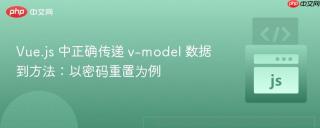Vue.js 中正确传递 v-model 数据到方法：以密码重置为例