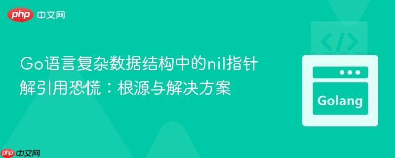 Go语言复杂数据结构中的nil指针解引用恐慌:根源与解决方案