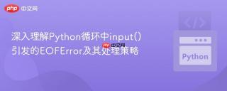 深入理解Python循环中input()引发的EOFError及其处理策略