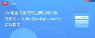 Go语言中实现带过期时间的缓存机制：cache2go与go-cache实战指南