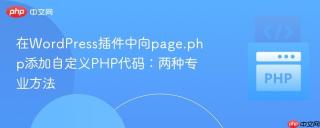 在WordPress插件中向page.php添加自定义PHP代码：两种专业方法