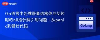 Go语言中处理嵌套结构体与切片时的nil指针解引用问题：从panic到健壮代码