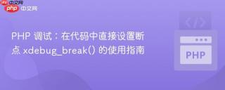 PHP 调试：在代码中直接设置断点 xdebug_break() 的使用指南