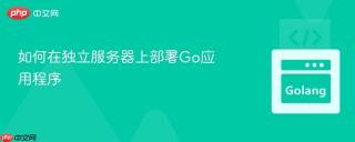 如何在独立服务器上部署Go应用程序