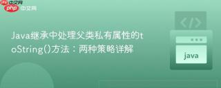 Java继承中处理父类私有属性的toString()方法：两种策略详解
