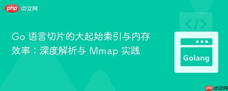 Go 语言切片的大起始索引与内存效率：深度解析与 Mmap 实践
