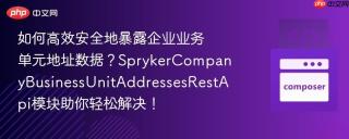 如何高效安全地暴露企业业务单元地址数据？SprykerCompanyBusinessUnitAddressesRestApi模块助你轻松解决！