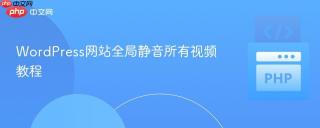 WordPress网站全局静音所有视频教程