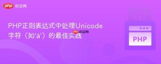 PHP正则表达式中处理Unicode字符（如‘á’）的最佳实践