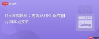 Go语言教程：高效从URL保存图片到本地文件