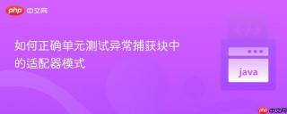 如何正确单元测试异常捕获块中的适配器模式