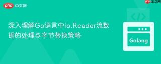 深入理解Go语言中io.Reader流数据的处理与字节替换策略