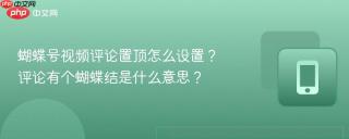 蝴蝶号视频评论置顶怎么设置？评论有个蝴蝶结是什么意思？