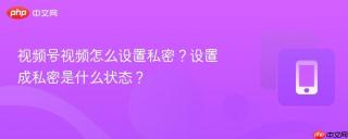 视频号视频怎么设置私密？设置成私密是什么状态？