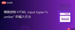 精确控制 HTML input type=