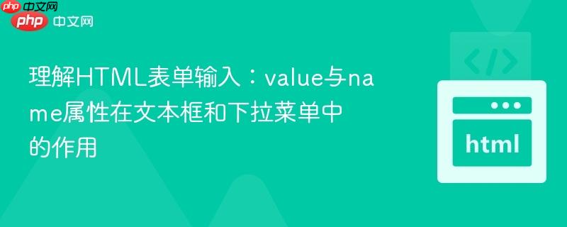 理解HTML表单输入:value与name属性在文本框和下拉菜单中的作用