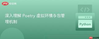 深入理解 Poetry 虚拟环境与包管理机制