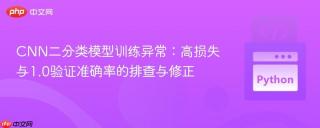 CNN二分类模型训练异常：高损失与1.0验证准确率的排查与修正