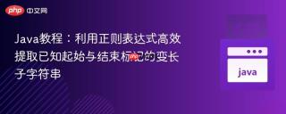 Java教程：利用正则表达式高效提取已知起始与结束标记的变长子字符串
