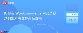 如何在 WooCommerce 单品页自动列出所有变体商品价格