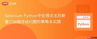 Selenium Python中处理点击后新窗口加载冻结问题的策略与实践
