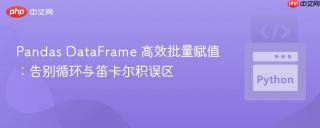 Pandas DataFrame 高效批量赋值:告别循环与笛卡尔积误区