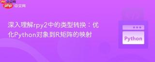深入理解rpy2中的类型转换：优化Python对象到R矩阵的映射
