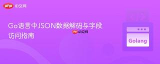 Go语言中JSON数据解码与字段访问指南