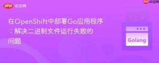 在OpenShift中部署Go应用程序:解决二进制文件运行失败的问题