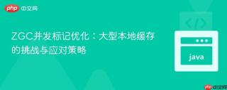 ZGC并发标记优化：大型本地缓存的挑战与应对策略