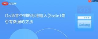 Go语言中判断标准输入(Stdin)是否有数据的方法
