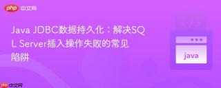 Java JDBC数据持久化：解决SQL Server插入操作失败的常见陷阱