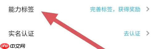 代练丸子能力标签查看位置