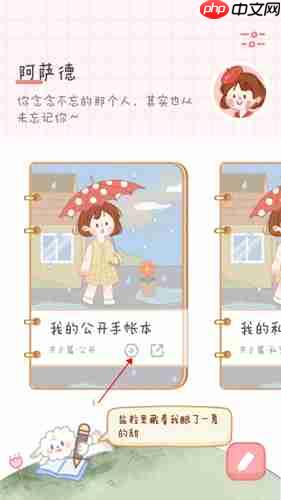 《念念手帐》公开私密手账方法