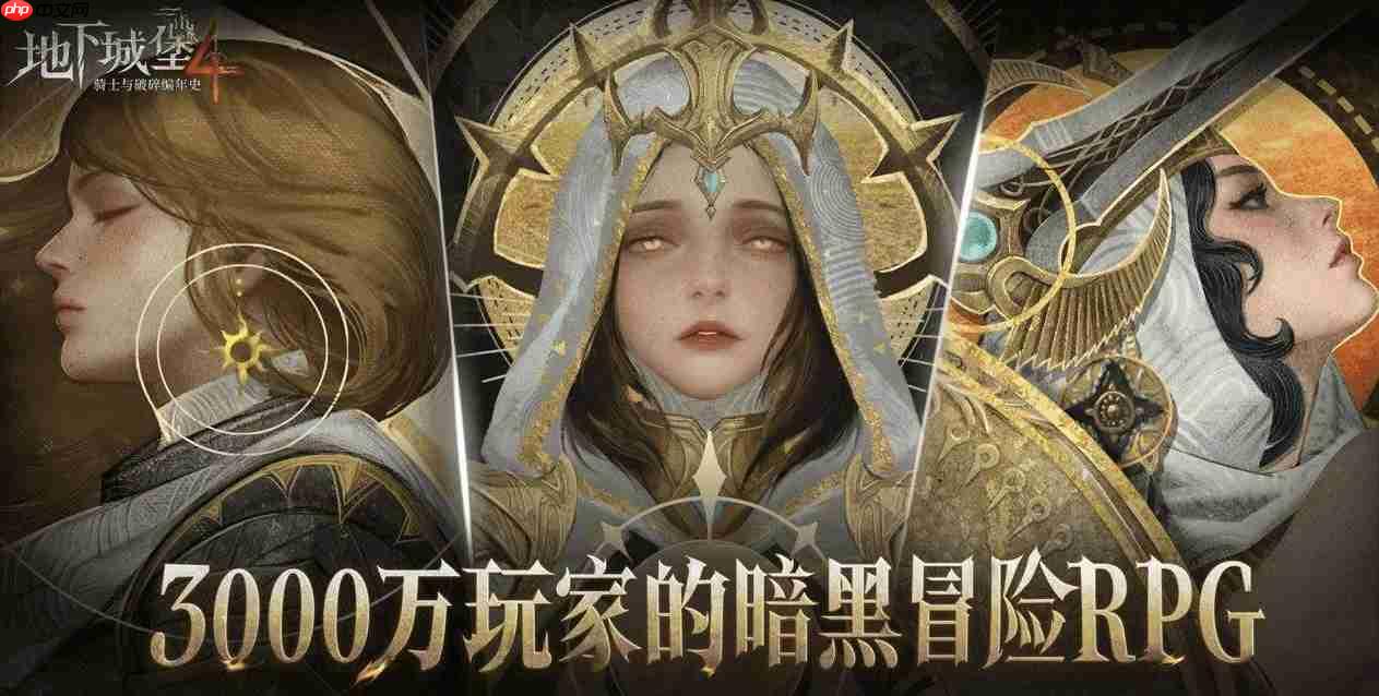 《地下城堡4:骑士与破碎编年史》射手介绍