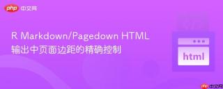 R Markdown/Pagedown HTML 输出中页面边距的精确控制