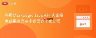 利用MarkLogic Java API 实现搜索结果高亮与多语言词干化处理